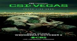 CSI: Vegas 1. Sezon 9. Bölüm türkçe altyazılı hd izle
