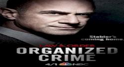 Law & Order: Organized Crime 2. Sezon 14. Bölüm türkçe altyazılı hd izle
