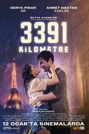 3391 Kilometre izle